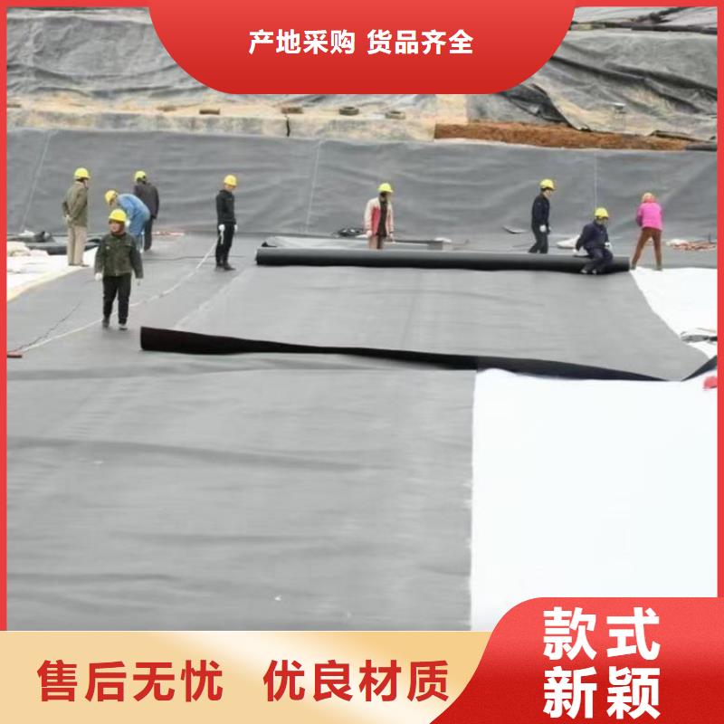 土工膜,防渗膜做工精细当地生产厂家
