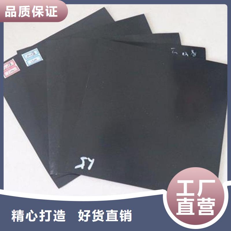 土工膜土工格栅敢与同行比服务本地供应商
