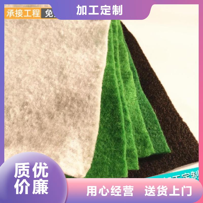 【土工布土工格栅实力厂家】厂家定制