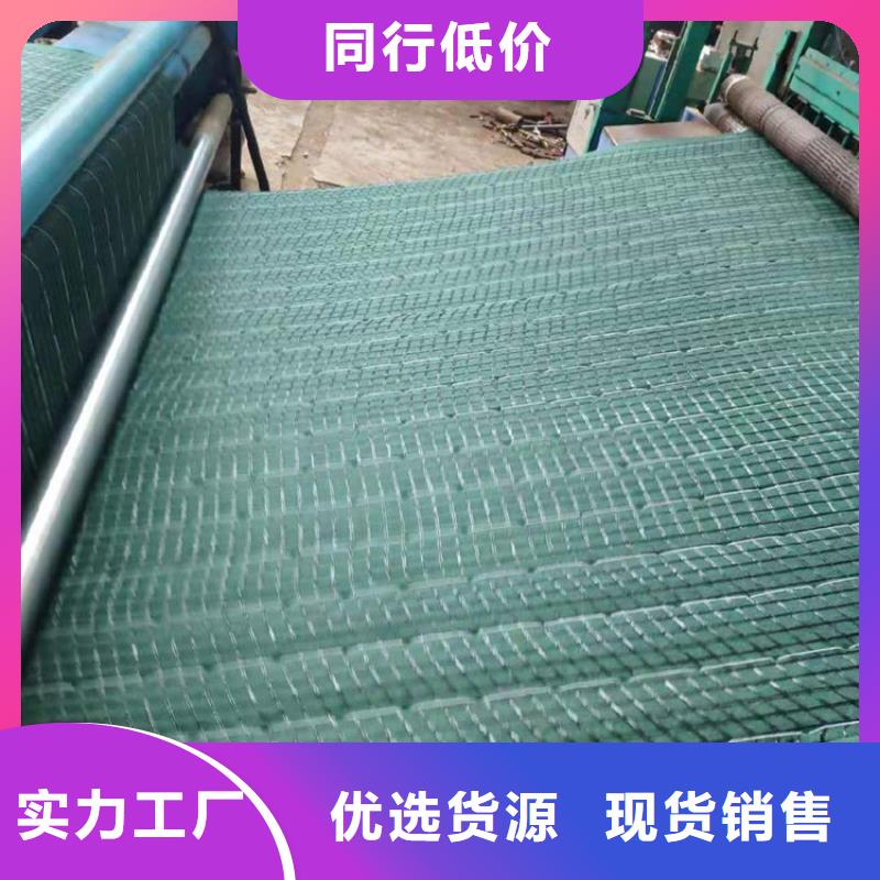 椰丝毯钢塑格栅来电咨询诚信商家