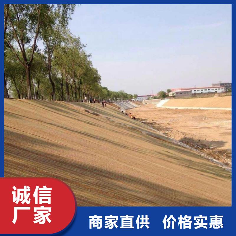 椰丝毯土工格室一手货源源头厂家现货供应