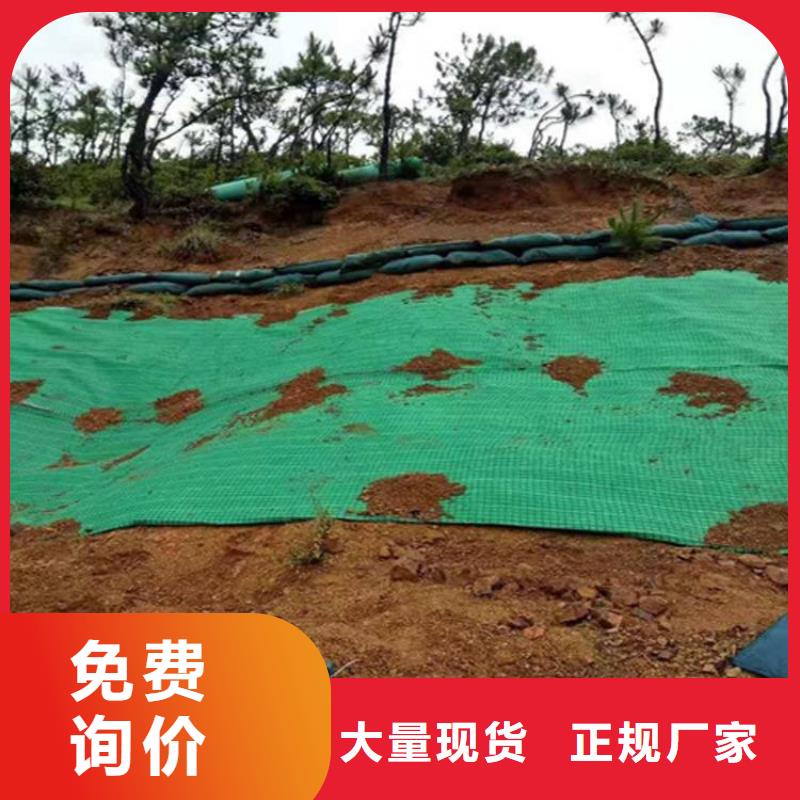 【椰丝毯土工膜随到随提】当地货源