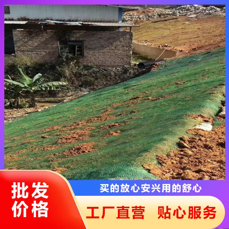 椰丝毯钢塑土工格栅严选用料本地供应商
