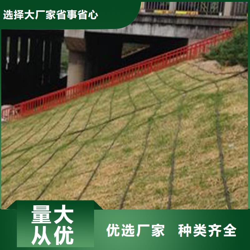 【椰丝毯玻纤格栅价格合理】专业供货品质管控