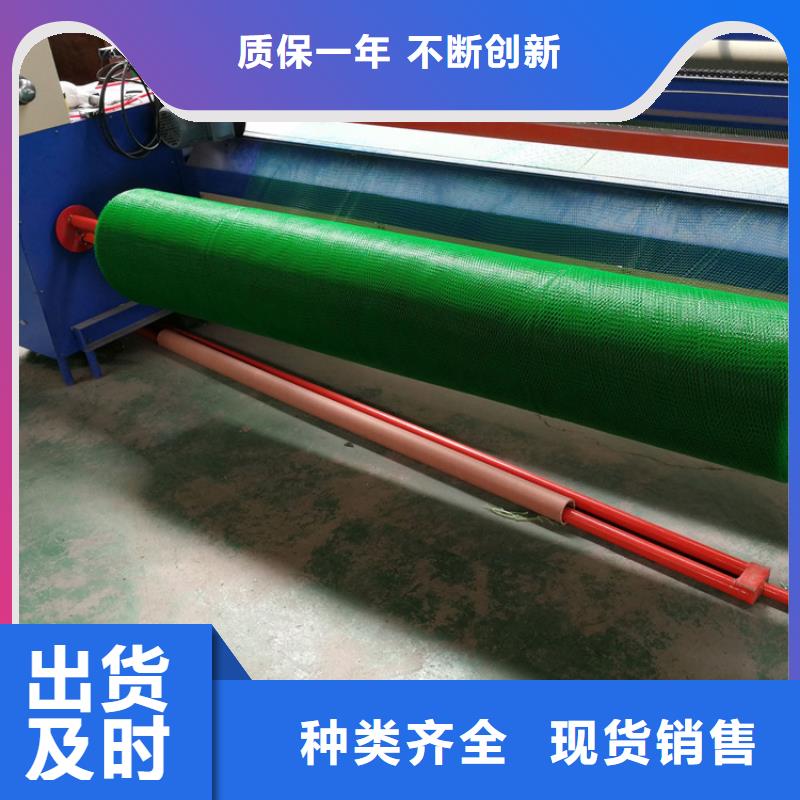 三维植被网土工布专业完善售后产地工厂