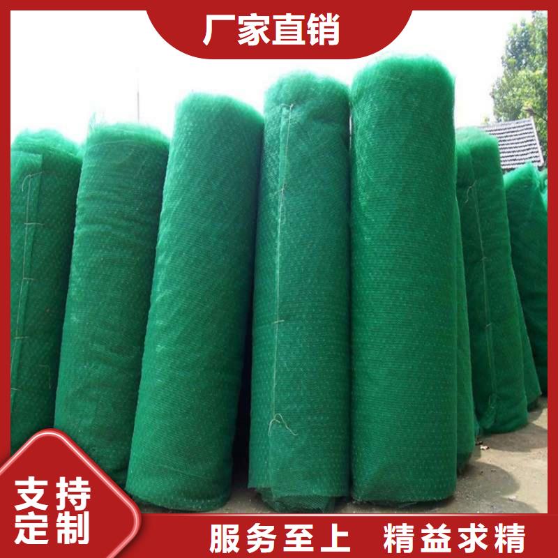 三维植被网HDPE土工膜源头厂家来图定制当地经销商