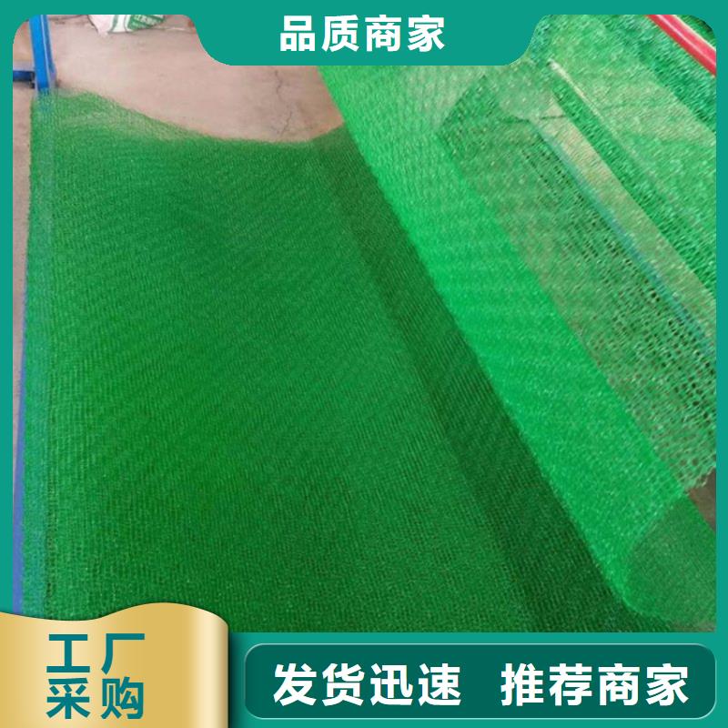 【三维植被网】聚酯布打造好品质厂家直营