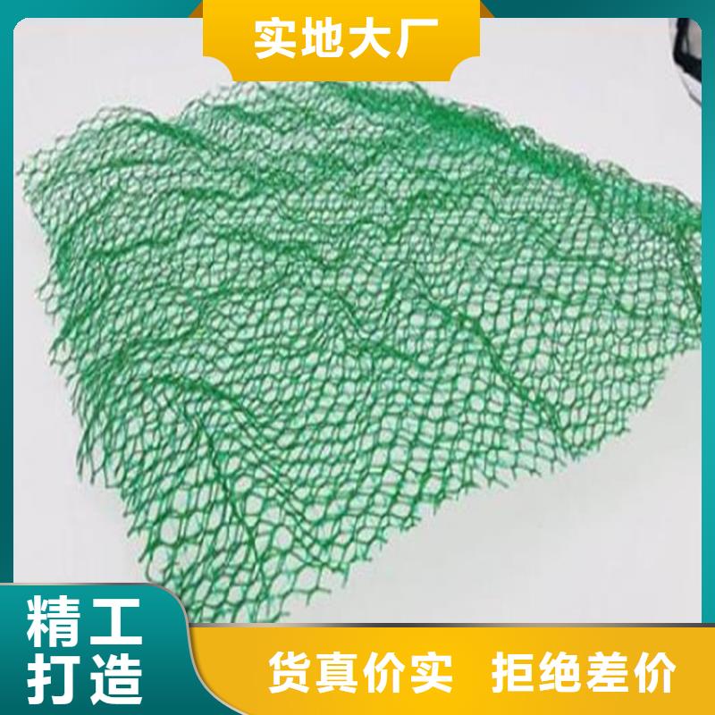 三维植被网通风降噪丝网多年厂家可靠当地货源