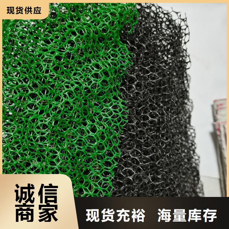 【三维植被网,抗裂贴您身边的厂家】价格实在