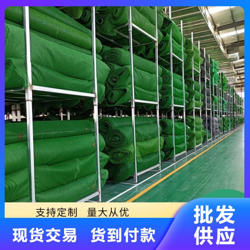 三维植被网聚酯玻纤布来图定制量大从优自主研发
