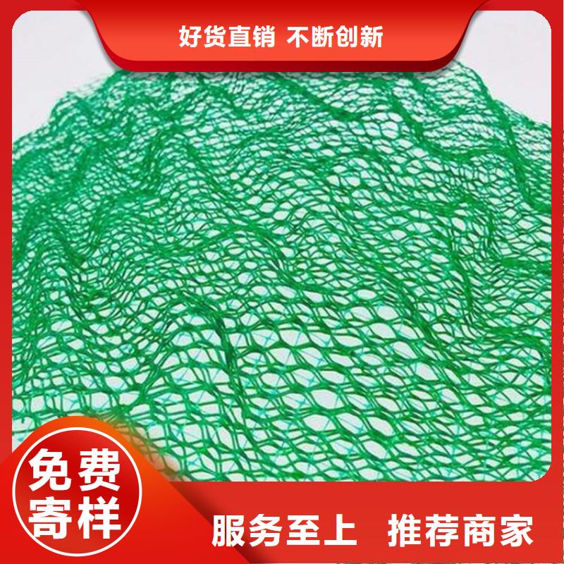 三维植被网防水板我们更专业支持大小批量采购