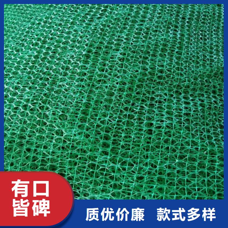 三维植被网膨润土防水毯货品齐全省心又省钱