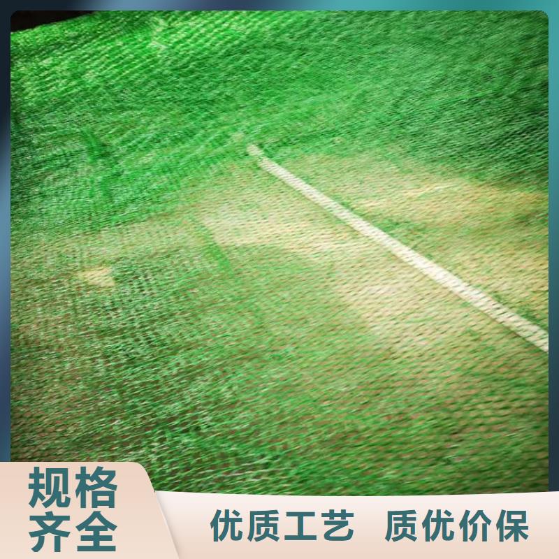 三维植被网,【土工格栅】实地大厂工厂自营