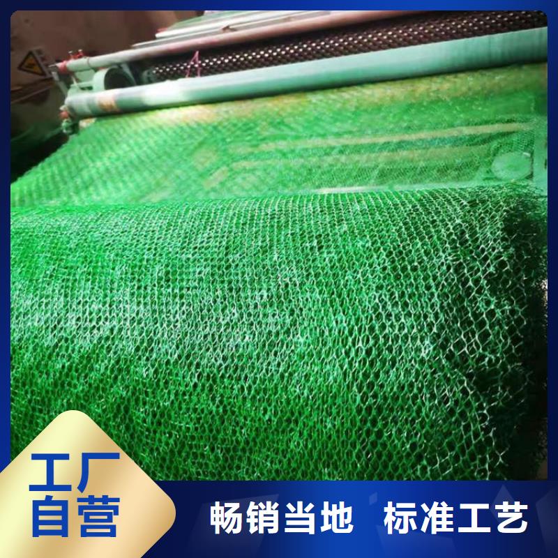 【三维植被网】玻璃纤维土工格栅实力商家供货稳定免费回电