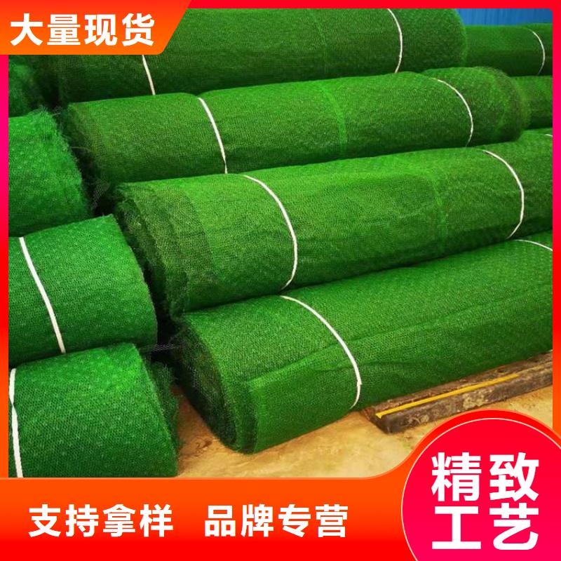 三维植被网【塑料盲沟】为品质而生产本地服务商