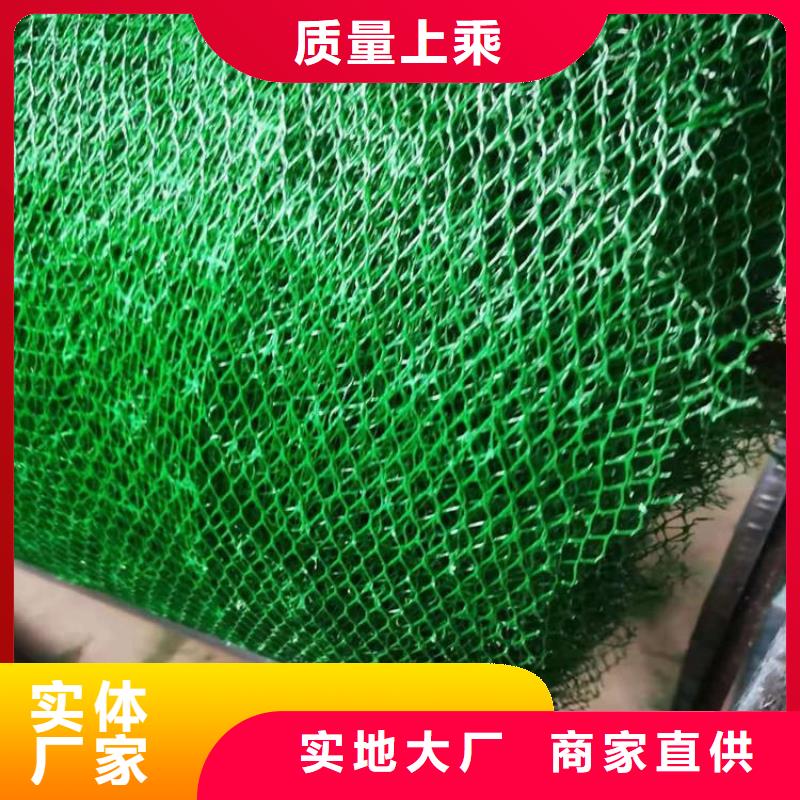 三维植被网防水板种类齐全同城公司