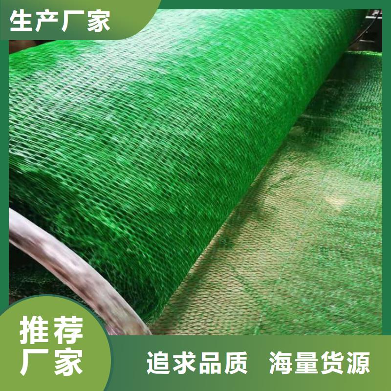 三维植被网防渗膜精致工艺质检严格