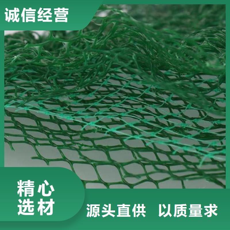 三维植被网聚酯玻纤布信誉至上放心得选择
