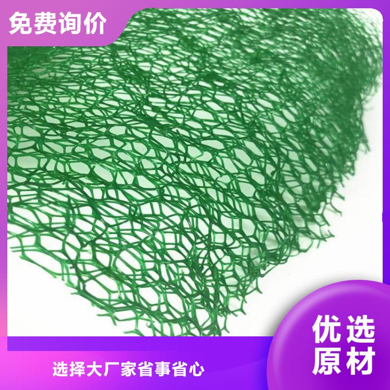【三维植被网矿用格栅厂家十分靠谱】低价货源