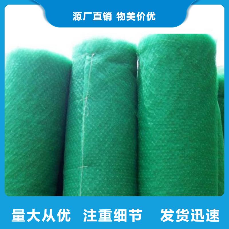 三维植被网螺旋管甄选好厂家一个起售