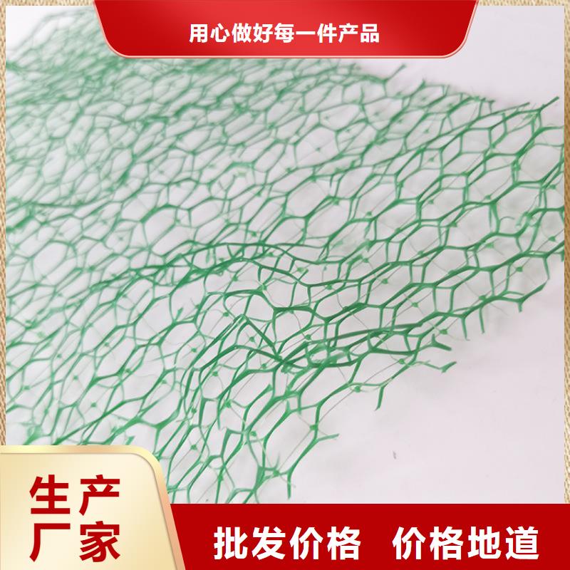 三维植被网【玻纤格栅】随心所欲定制优质货源