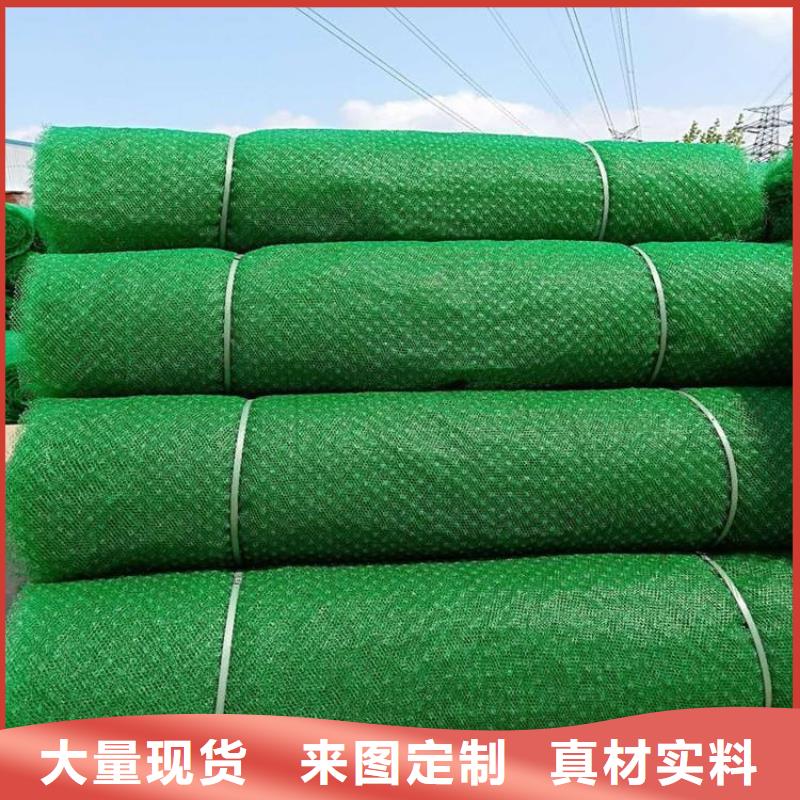 三维植被网玻璃纤维土工格栅诚信厂家打造行业品质