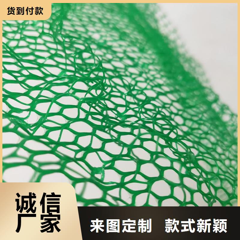三维植被网防水板优选厂商专业按需定制