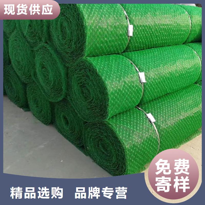 三维植被网土工格栅源厂定制发货及时