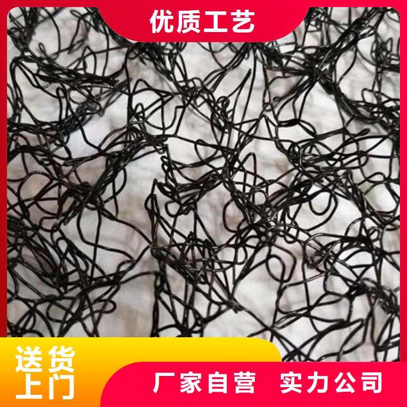 通风降噪丝网双向塑料土工格栅严选好货同城经销商