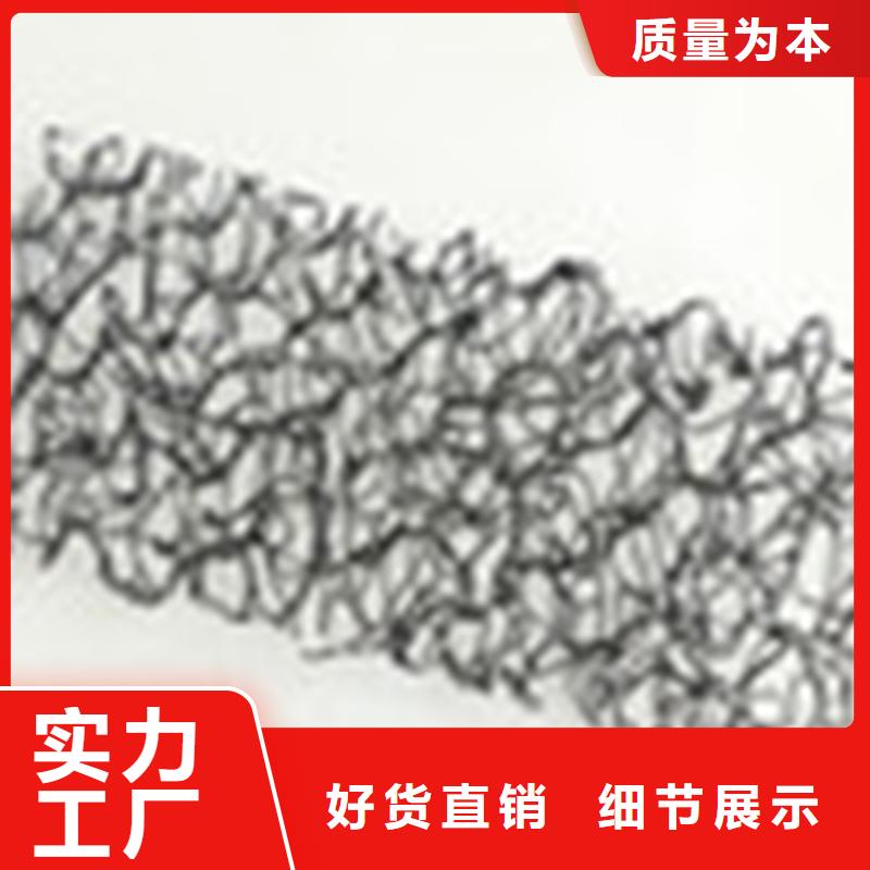 通风降噪丝网塑料土工格栅经久耐用应用范围广泛