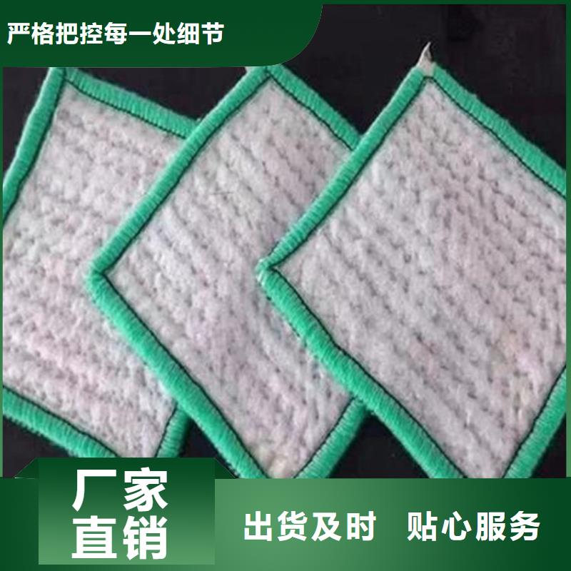 膨润土防水毯钢塑格栅厂家案例实体厂家大量现货