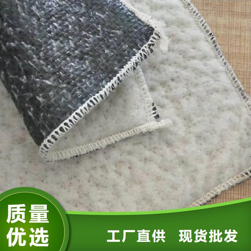 膨润土防水毯土工膜常年出售实拍展现