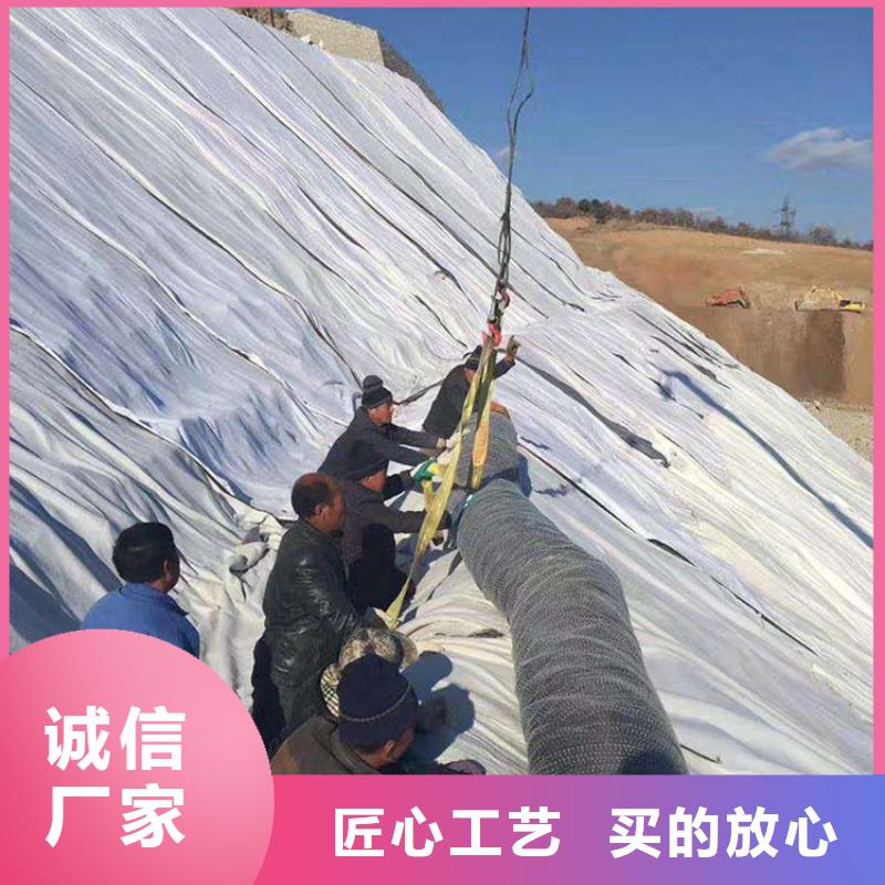 ​膨润土防水毯,【玻纤格栅】品质做服务本地公司