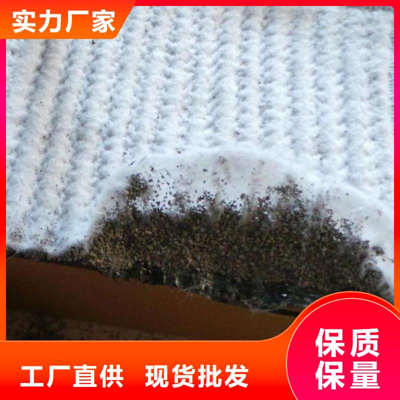 【膨润土防水毯_HDPE土工膜品质服务诚信为本】本地品牌