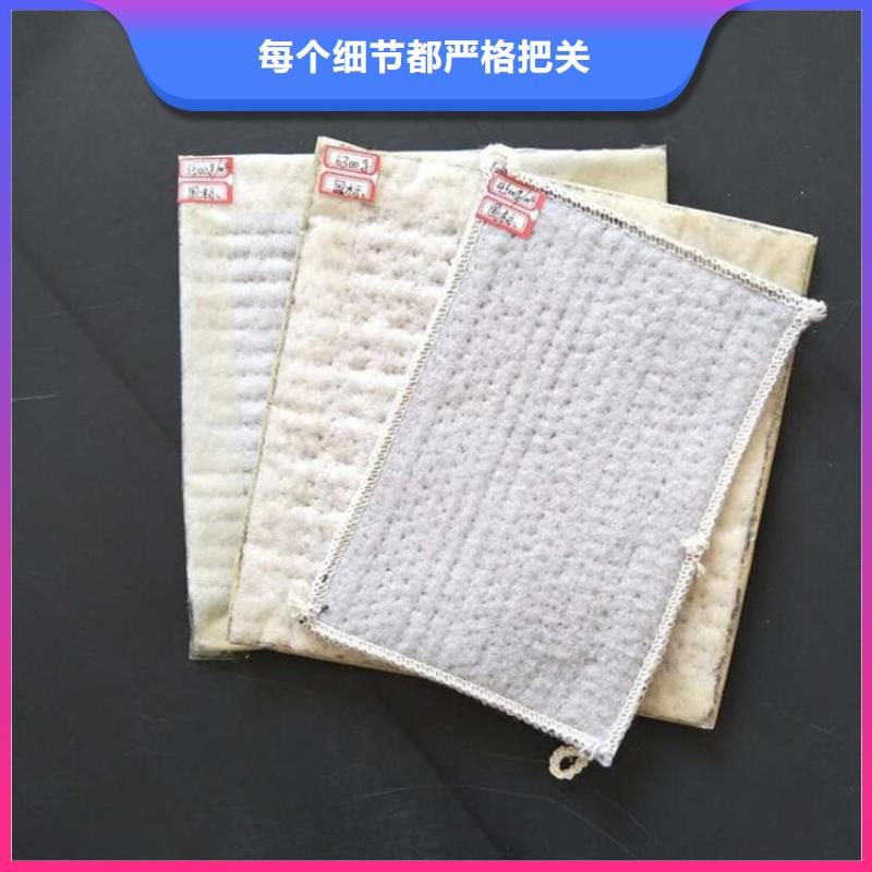 【膨润土防水毯】土工布实地大厂本地公司