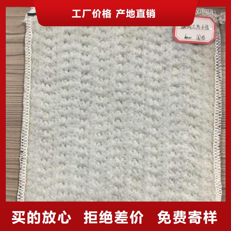 膨润土防水毯土工格栅买的放心安兴用的舒心源头实体厂商