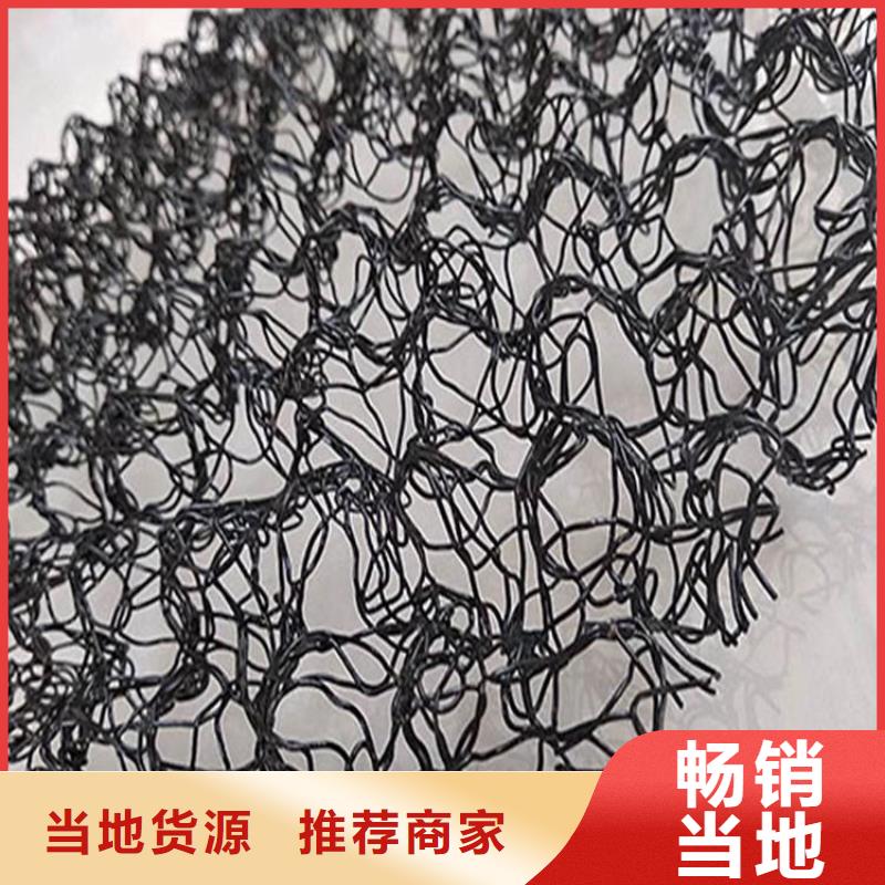 水土保护毯-塑料格栅有口皆碑当地货源