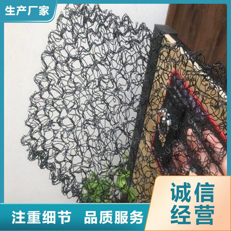 水土保护毯【土工布】厂家案例专心专注专业