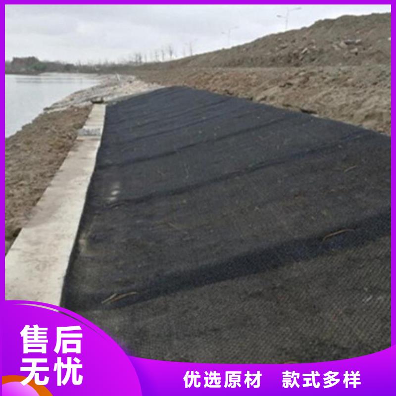 水土保护毯土工格栅严格把关质量放心当地生产厂家