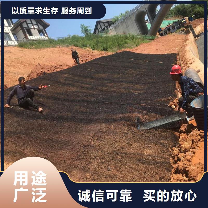 【水土保护毯】_聚酯布厂家直销省心省钱本地经销商