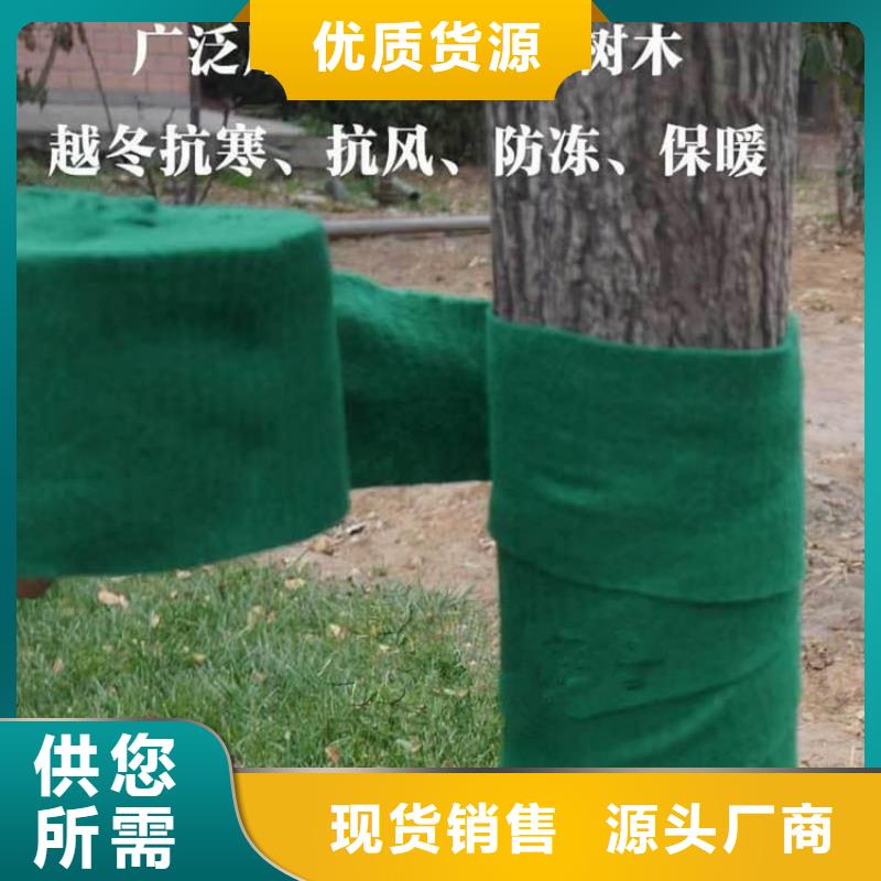 裹树布土工格栅用心做好细节客户信赖的厂家