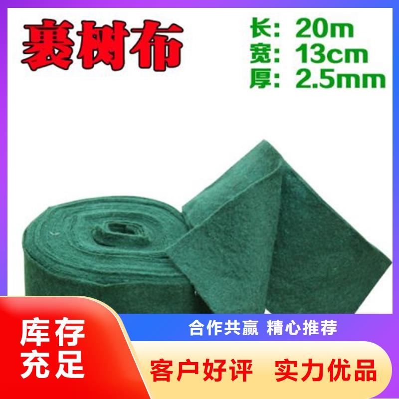 裹树布拉筋带海量现货本地经销商