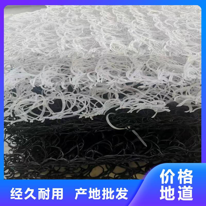 土工席垫-塑料盲沟量大从优当地生产厂家
