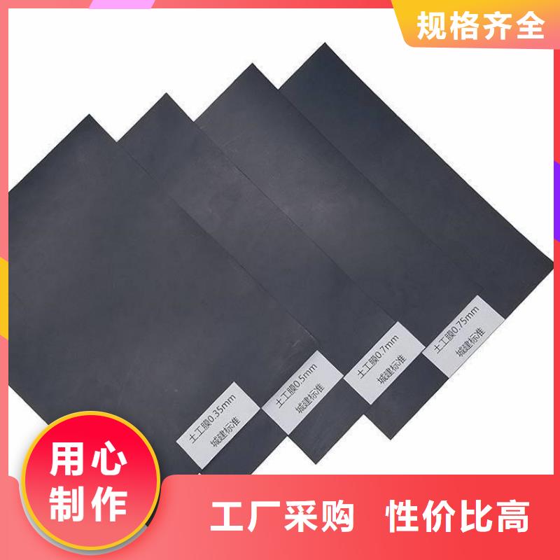 土工膜土工格栅品质卓越本地服务商