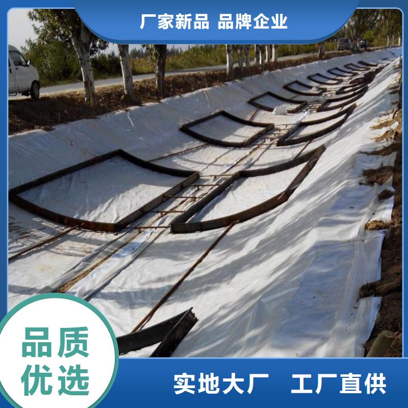 土工膜塑料盲沟N年生产经验严谨工艺