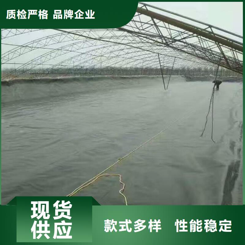 土工膜_土工格栅每个细节都严格把关当地厂家值得信赖