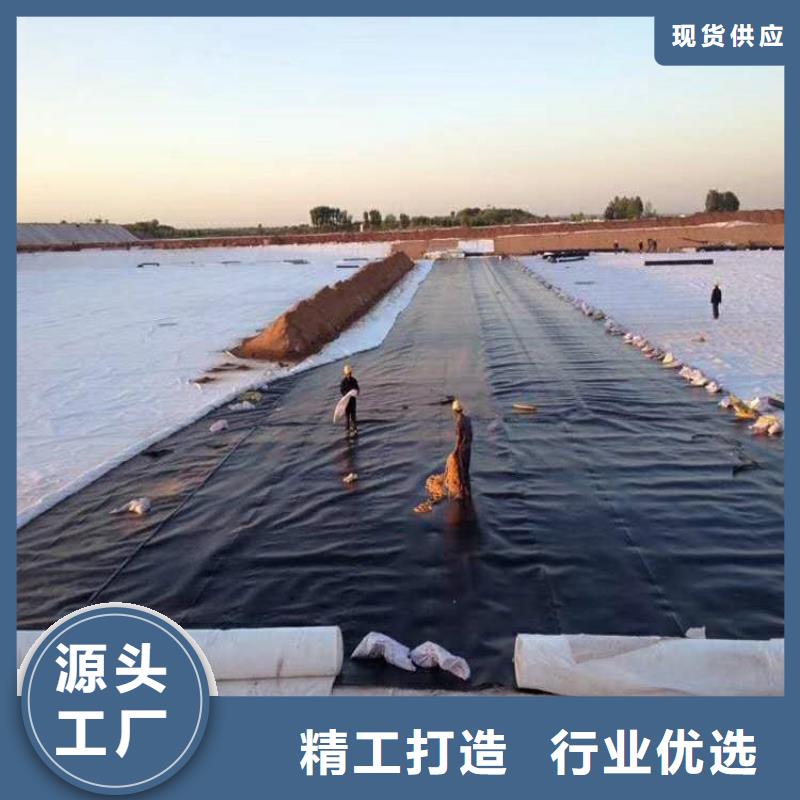 土工膜防渗膜好品质经得住考验源头工厂