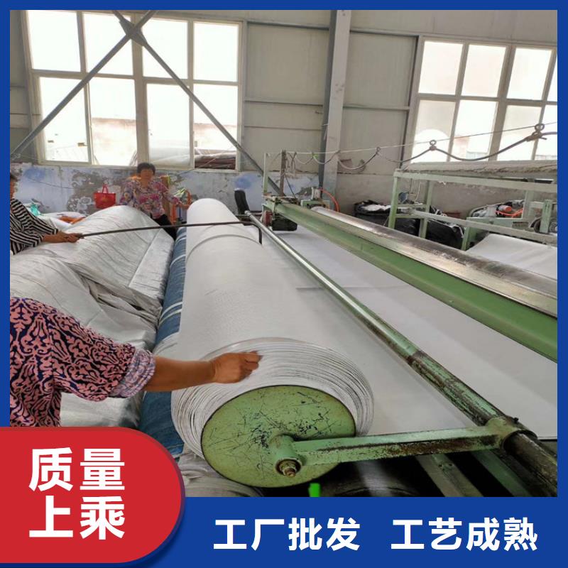 【土工布】植草格现货采购当地生产商