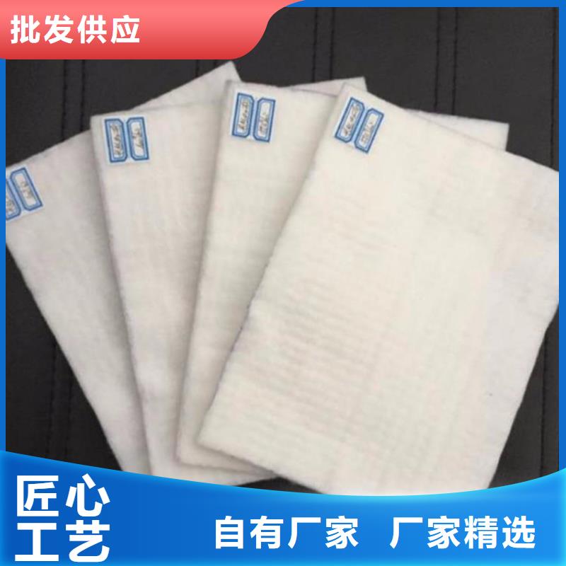 土工布-生态带源厂供货当地公司