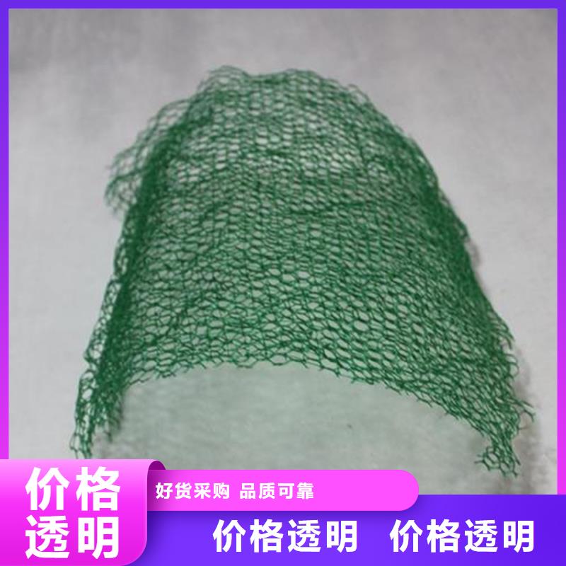 三维植被网编织布支持拿样同城服务商